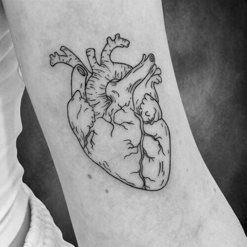 Lineart-Tattoo eines anatomischen Herzens auf dem Oberarm, gestochen im Black Dot Tattoo Studio Besigheim.
