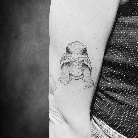 Realistisches Schildkröten-Tattoo auf dem Arm, gestochen im Black Dot Tattoo Studio Besigheim.